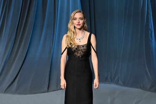 Full leaked Amanda seyfried page private onlyfans photo
