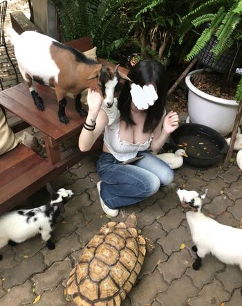 Full leaked Mimi shou private onlyfans photo