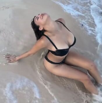 Bryceideeleos